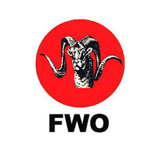 Frontier Works Organization logo