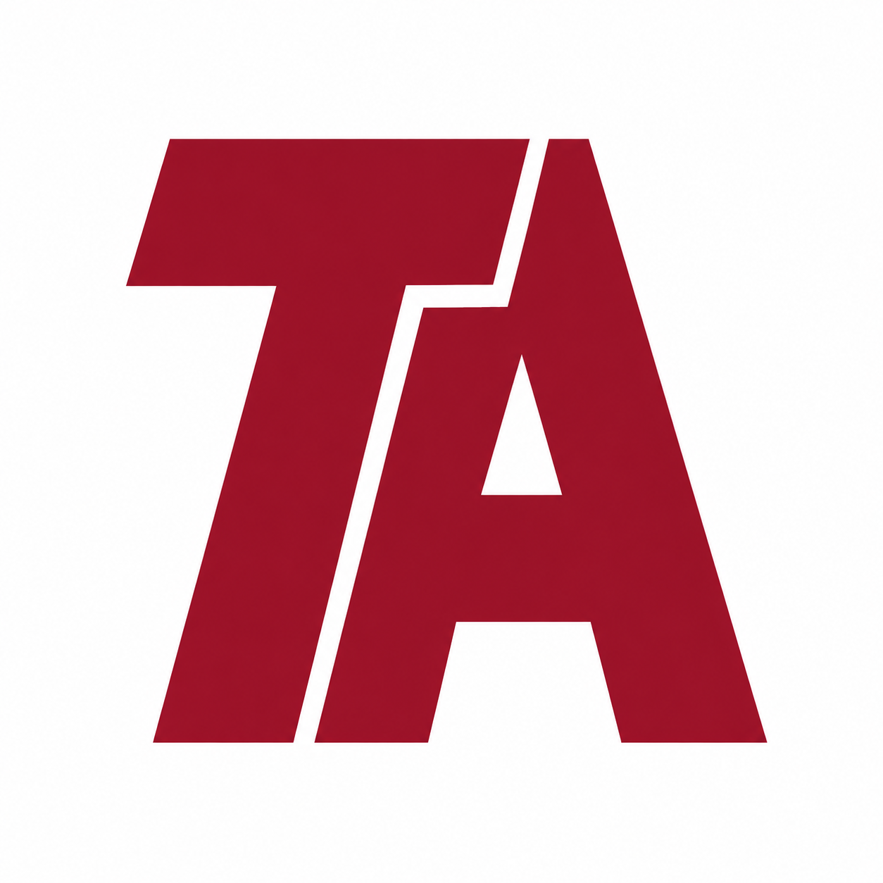 Tayyab Associates logo